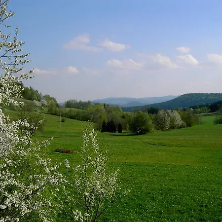 Wildfeuer Kirchdorf im Wald