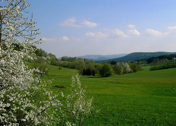 Wildfeuer Kirchdorf im Wald